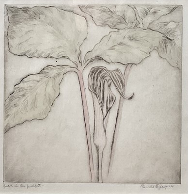 Lot 272 - Bertha Evelyn Jaques (American, 1863-1941) drypoint etching, 'Jack in the Pulpit', signed below, 17.5cm x 17.5cm, glazed gilt frame