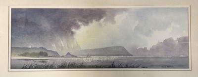 Lot 1148 - David Bellamy watercolour on card measuring approximately