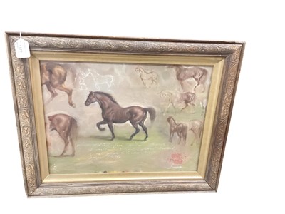 Lot 1177 - Follower of Alfred Munnings, oil on board, horse studies