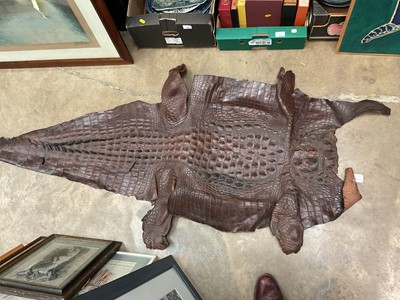 Lot 291 - Old Crocodile skin