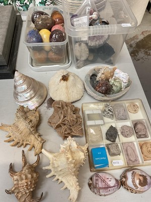 Lot 310 - Collection of crystals, semi-precious polished stone eggs and various shells