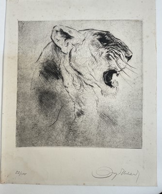 Lot 132 - Kurt Meyer Eberhardt (1895-1977) etching - Lion