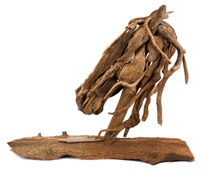 Lot 923 - Trudy Redfearn (contemporary): Driftwood sculpture - Horse head, signed