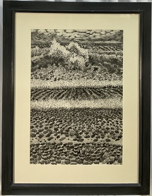 Lot 96 - Anthony Amies (1945-2000), pencil - shoreline