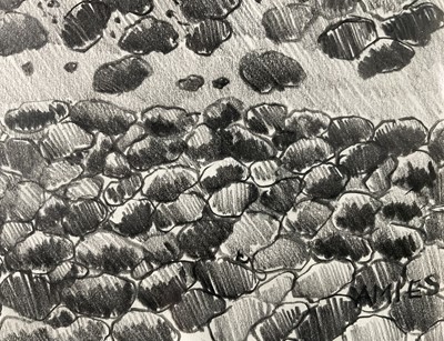 Lot 96 - Anthony Amies (1945-2000), pencil - shoreline