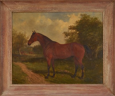 Lot 1026 - Manner of John Duvall, 19th century oil on canvas - Bay Horse in a Landscape, 41cm x 51cm, framed