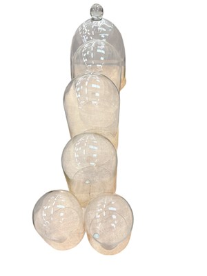Lot 462 - Group of six various glass domes
