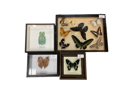 Lot 3079 - Four glazed frames containing a selection of butterflies and insects, (4).