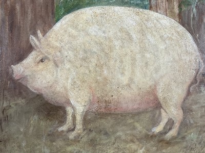 Lot 11 - English School, oil on canvas laid on panel - A Prize Pig, 31cm x 43cm, in burr maple veneered frame