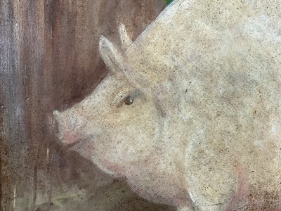 Lot 11 - English School, oil on canvas laid on panel - A Prize Pig, 31cm x 43cm, in burr maple veneered frame