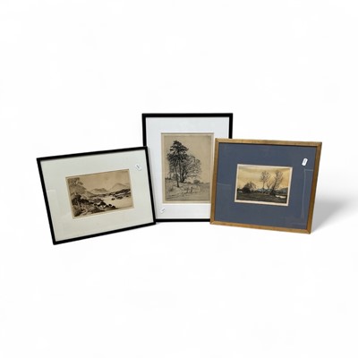 Lot 5164 - Collection of mostly 19th and early 20th century etchings, with artists including Hans Frank