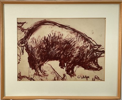 Lot 1029 - *Cynthia Pell (1933-1977) ink and wash sketch of a pig, labels verso, 34cm x 48cm, in glazed frame