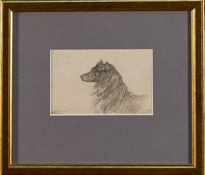 Lot 1014 - Lucy Kemp-Welch (1869-1958) pencil drawing - A Collie, dated Aug. '94, 7cm x 11cm, in glazed gilt frame. NB: From an 1894 album of drawings and oils which was a gift from Lucy and her si...