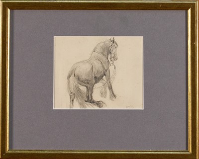 Lot 1013 - Lucy Kemp-Welch (1869-1958) pencil drawing - A Heavy Horse, dated Aug. '94, 10cm x 12.5cm, in glazed gilt frame. NB: From an 1894 album of drawings and oils which was a gift from Lucy an...