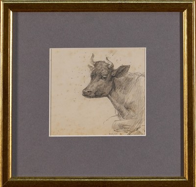 Lot 1012 - Lucy Kemp-Welch (1869-1958) pencil drawing - A Cow, 'Bored Indifference', dated Aug. '94, 10cm x 11cm, in glazed gilt frame. NB: From an 1894 album of drawings and oils which was a gift...