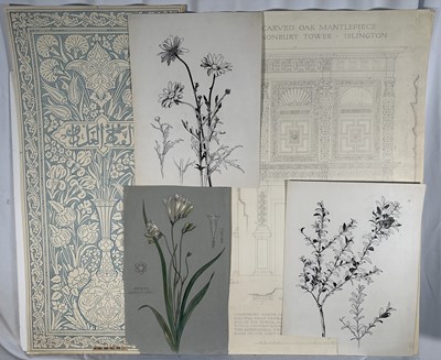 Lot 1188 - Sylvan G. Boxsius (1878-1941) group of sketches including three botanical pen, ink and watercolours, an architectural drawing of a carved oak mantelpiece at Canonbury Tower, Islington and a 1909...