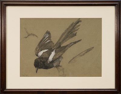 Lot 1194 - Daisy Boxsius, née Tuff (1885-1967) pair of pencil and wash sketches of Magpies, each with E.S.K. blindstamp, 31cm x 43cm, in glazed frames