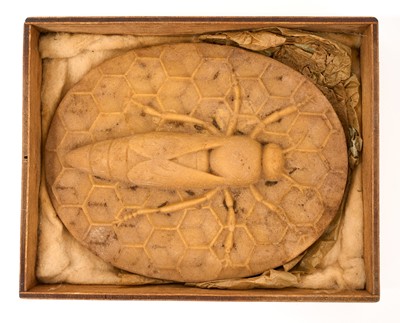 Lot 784 - Large 19th century oval wax plaque, moulded with a bee on honeycomb ground, in original wood box.