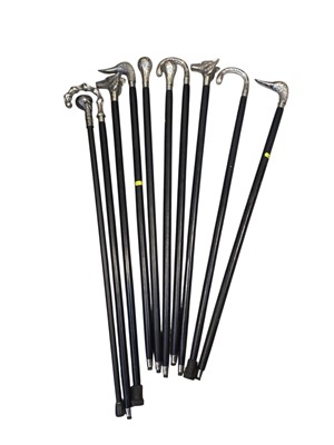 Lot 5191 - Walking sticks