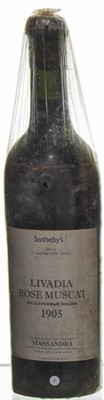 Lot 20 - Livadia Rose Muscat 1905