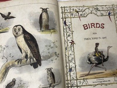 Lot 188 - Antiquarian books including Goldsmiths Animated Nature, 2 vols, 1804; Major Leslie - History of Languard Fort, 1898, various others and modern literature. (1 box)