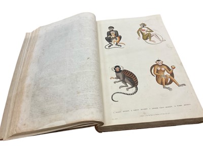 Lot 1385 - Martyn's Natural History (1 volume) and a 19th century Bible (2).