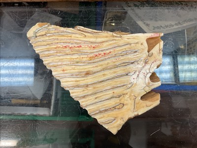 Lot 71 - Fossilised mammoth tooth