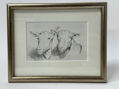 Lot 111 - Franco Matania (1922-2006) pencil sketch of a sheep and a goat, in glazed frame, 17cm x 21.5cm overall