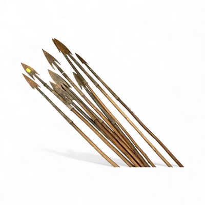 Lot 832 - Group of ten Zulu war spears on wooden shafts.