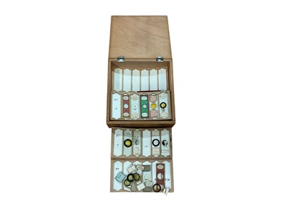 Lot 3017 - Collection of 19th century and later microscope slides, with annotations, housed in a wooden cabinet.