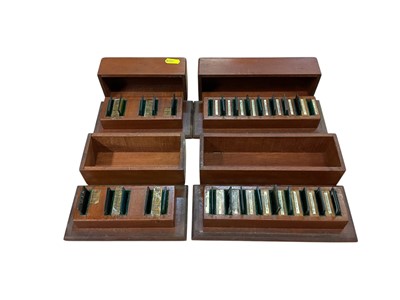 Lot 3029 - Four cased sets of tinted microscope coloured filters.