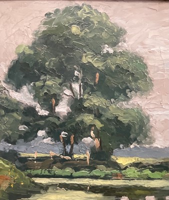 Lot 12 - English School, 20th century oil on board, river landscape, signed indistinctly, 50cm x 60cm, framed