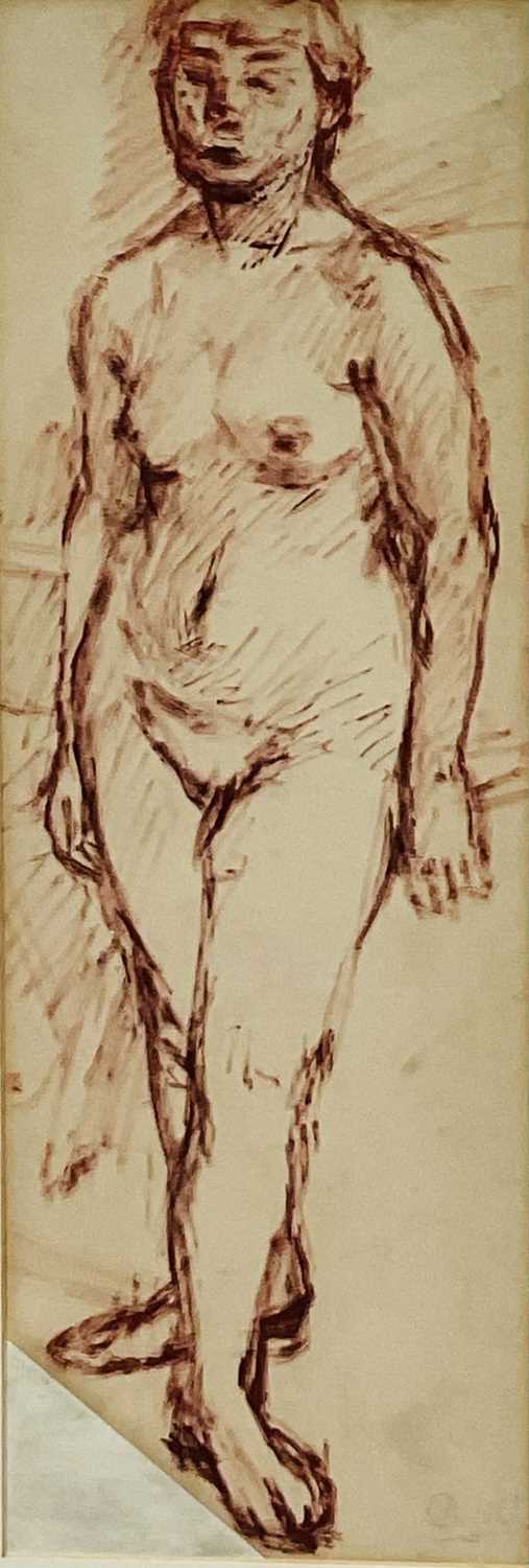 Lot 10 - Cynthia Pell (1933-1977) ink study of a standing female nude, pencil signed, 55cm x 19cm, glazed frame (top edge frame missing)