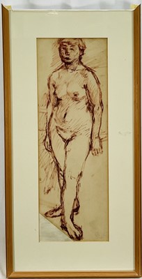 Lot 10 - Cynthia Pell (1933-1977) ink study of a standing female nude, pencil signed, 55cm x 19cm, glazed frame (top edge frame missing)