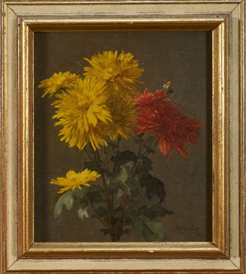 Lot 1031 - Jessica E. Hayllar (1858-1940) oil on board, Chrysanthemums, signed and dated 1910, 27cm x 23cm, framed