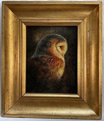 Lot 135 - English School, oil on board, portrait of a Barn Owl, 17cm x 13cm, framed