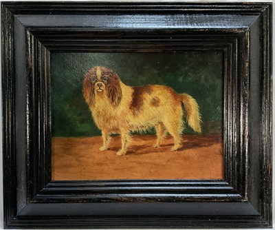 Lot 136 - English School, oil on board, King Charles Spaniel, 17cm x 23cm, in ebonised frame
