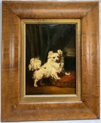 Lot 138 - After Henry Bernard Chalon, oil on board, A White Papillon, 16cm x 12cm, maple veneer frame