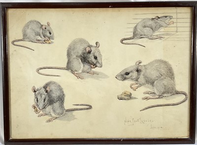 Lot 175 - Nina Scott Langley (1890-1964) watercolour and ink illustration of rats, signed and dated June 1918, 28cm x 39cm, glazed frame