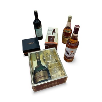 Lot 5041 - Group of wines and spirits including Bell's whisky and Napoleon brandy