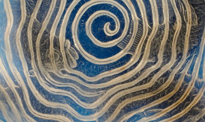 Lot 12 - Lalique Dauphins bowl