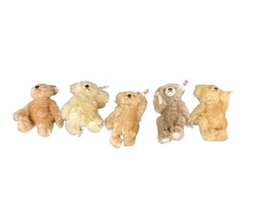 Lot 264 - Five small Steiff bears in a Steiff box