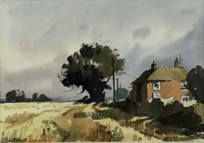 Lot 1111 - John Tookey (b. 1947) watercolour, Cottage near Cawston, Norfolk, 24 x 34cm, Mall Galleries label verso, glazed frame