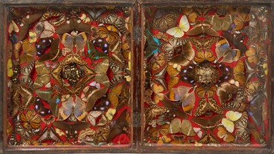 Lot 940 - Good Victorian display of butterflies and insects, contained in a glazed folding case, 44cm x 77cm overall