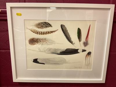 Lot 1169 - Denise Hoyle (b.1935) watercolour of feathers, framed, 36cm x 27cm