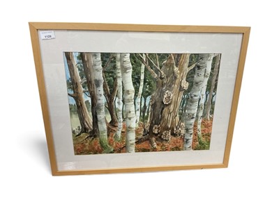 Lot 1129 - Ali Hare, contemporary watercolour study of Wrabness Woods, mounted in glazed frame, image 49 x 36cm