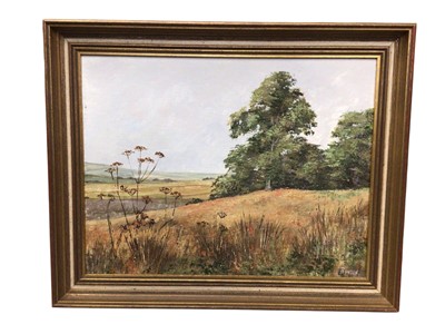 Lot 1173 - Lot of various decorative oils including still life's