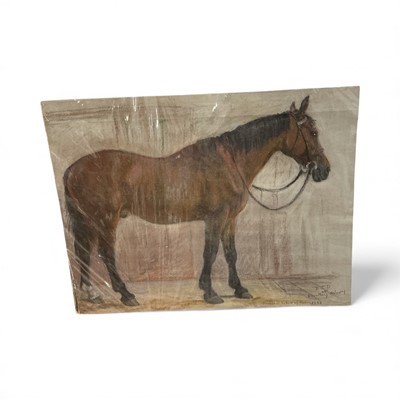 Lot 1165 - 1930's mixed media study of a horse, inscribed Frobisher School of Art 1938, 41 x 31cm