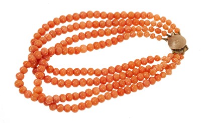 Lot 443 - Antique coral bead multi-strand bracelet on gold clasp