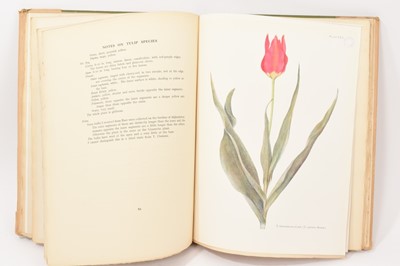 Lot 853 - The Late W. R. Dykes M.A., L.es L. V.R.H. - Notes on Tulip Species